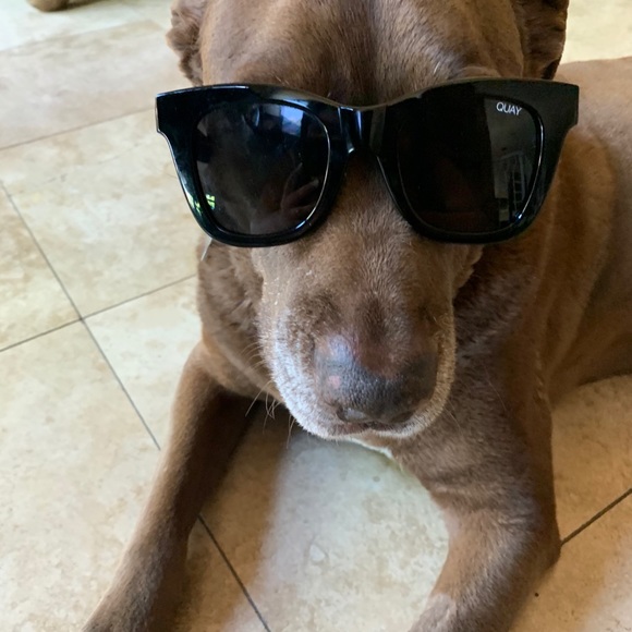 Meet your Posher, Corinna - Picture 1 of 1